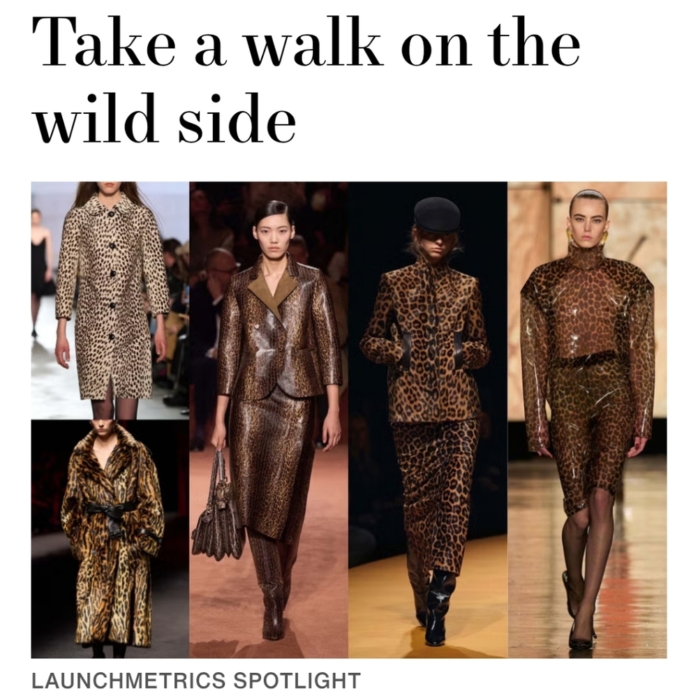 FALL 2025: Mixed Prints, Leather, Denim On Denim, Witchy Shoes What!? - Picture 5 of 16